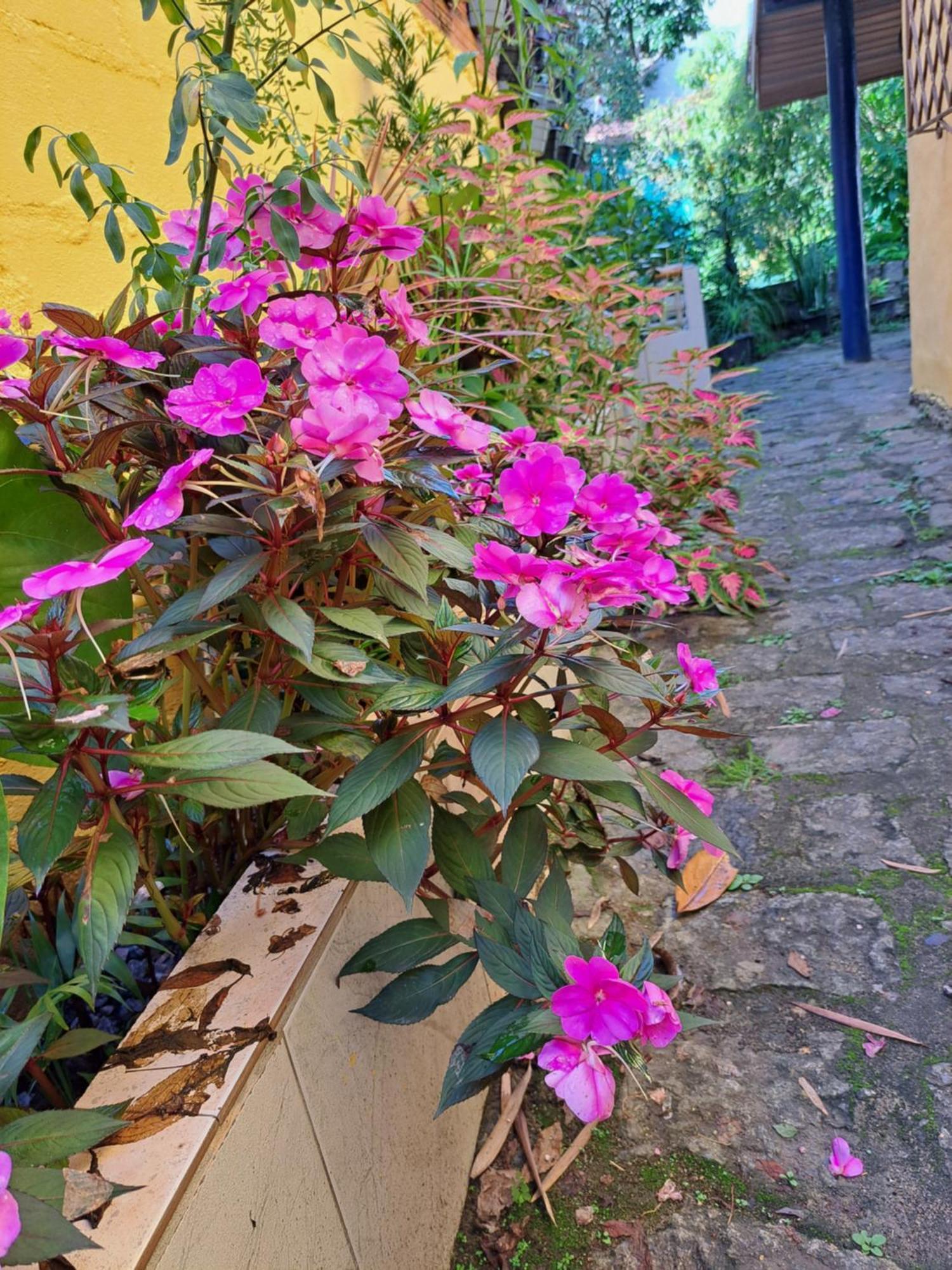 Casa Ilhabela Entre A Praia Grande & Juliao Quarto foto